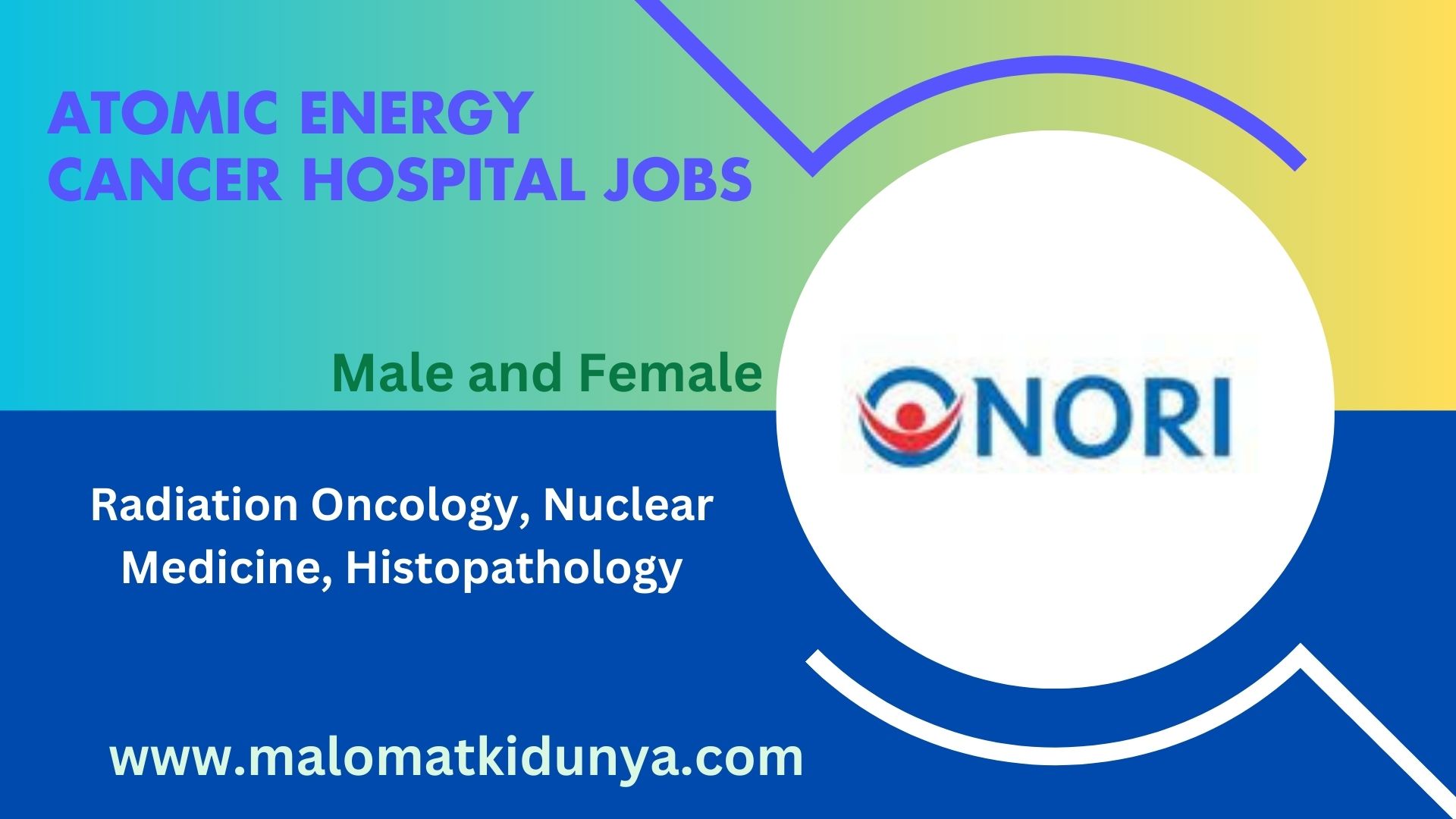 AECH NORI Islamabad Jobs