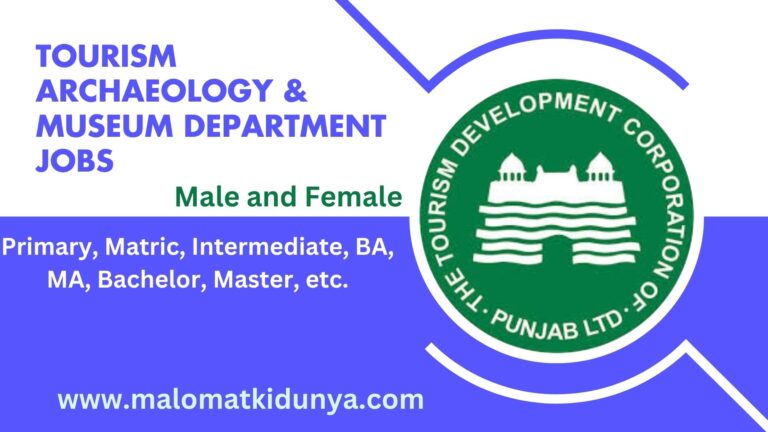 Museum Department Jobs