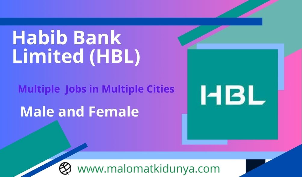 HBL bank jobs