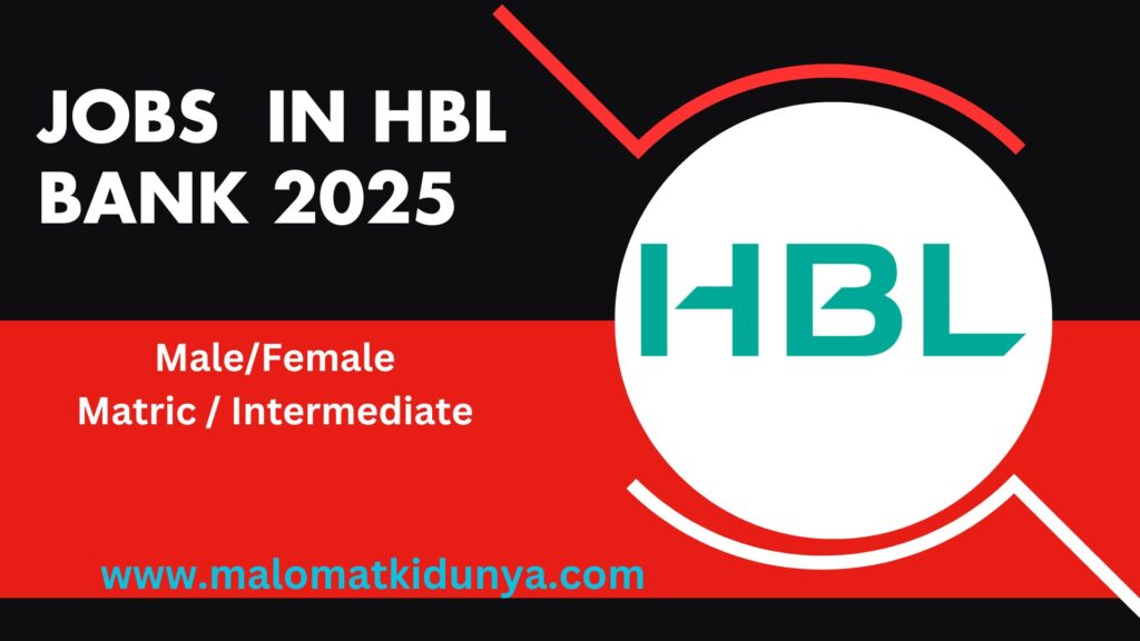 jobs in HBL Bank