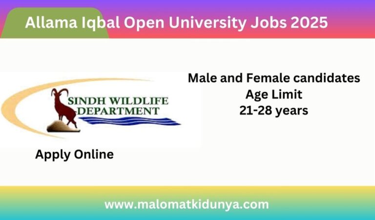 Allama Iqbal Open University Jobs 2025